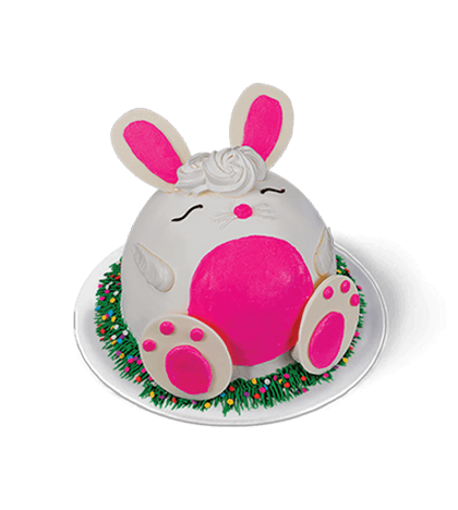 Hopscotch the Bunny Cake