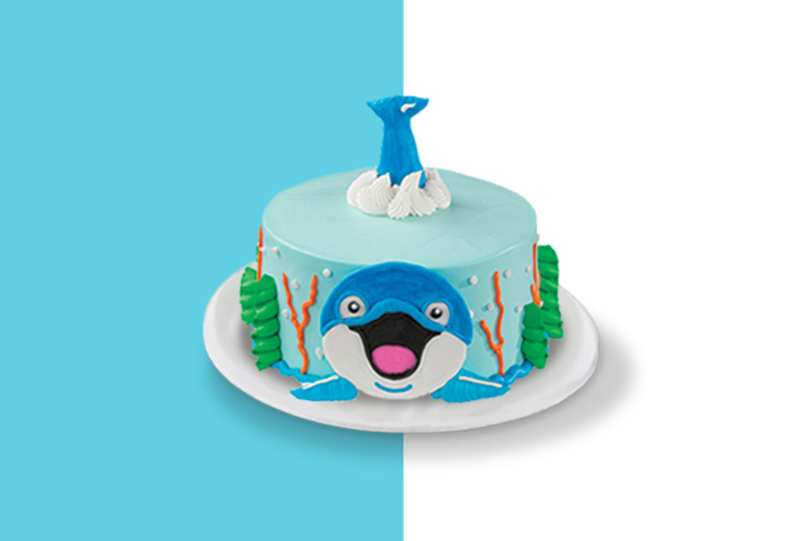 Dolphin Cake